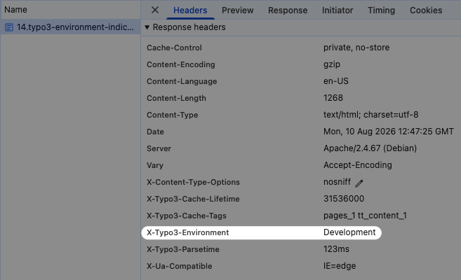 Browser devtools network panel showing the X-Typo3-Environment response header