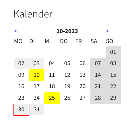Screenshot of Calendar Widget