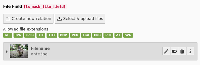 File field