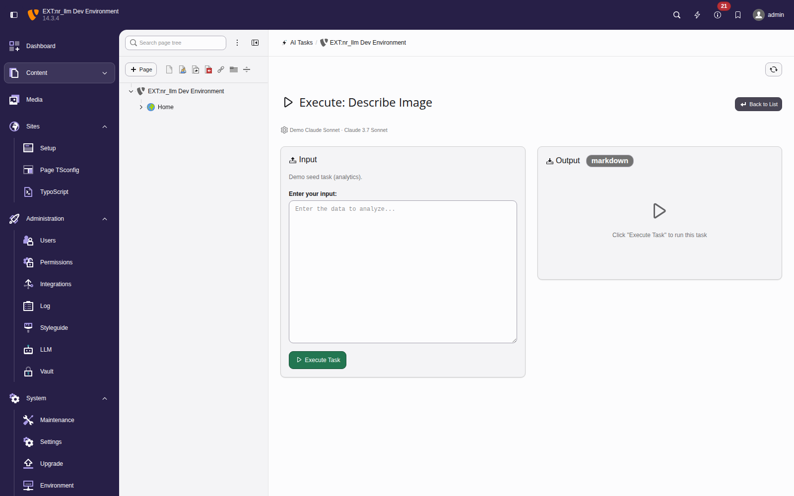 The editor run form with input area and output panel, without management links