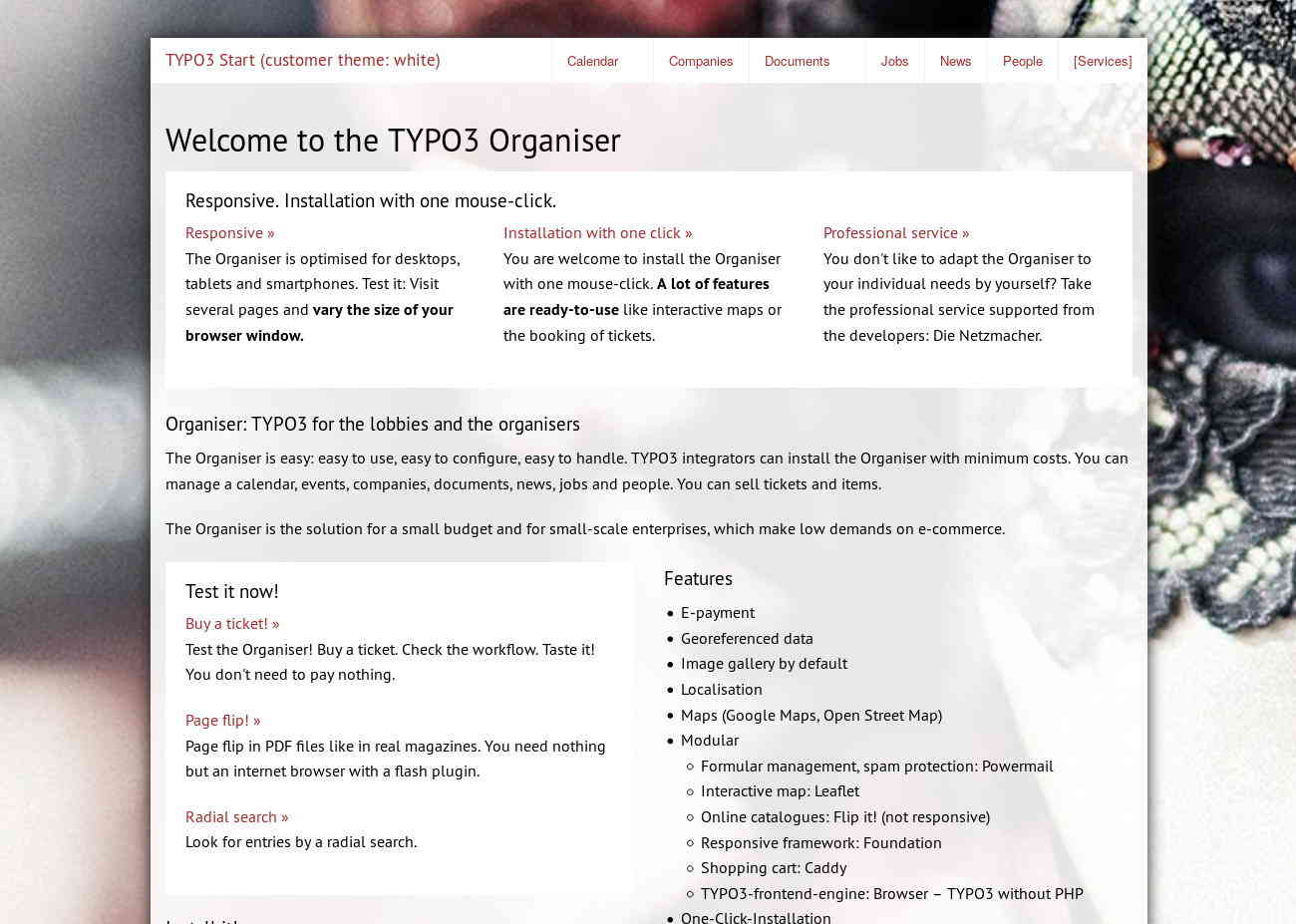 The white theme of Start TYPO3 Responsive +Customer