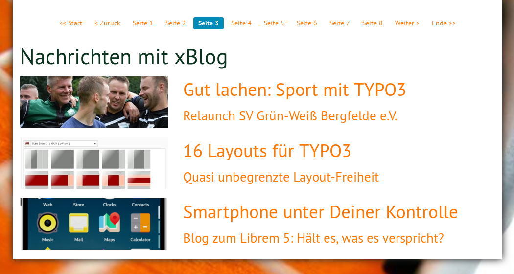 TYPO3 xBlog sample: 1 column, margin content at the left, proportion 33/66