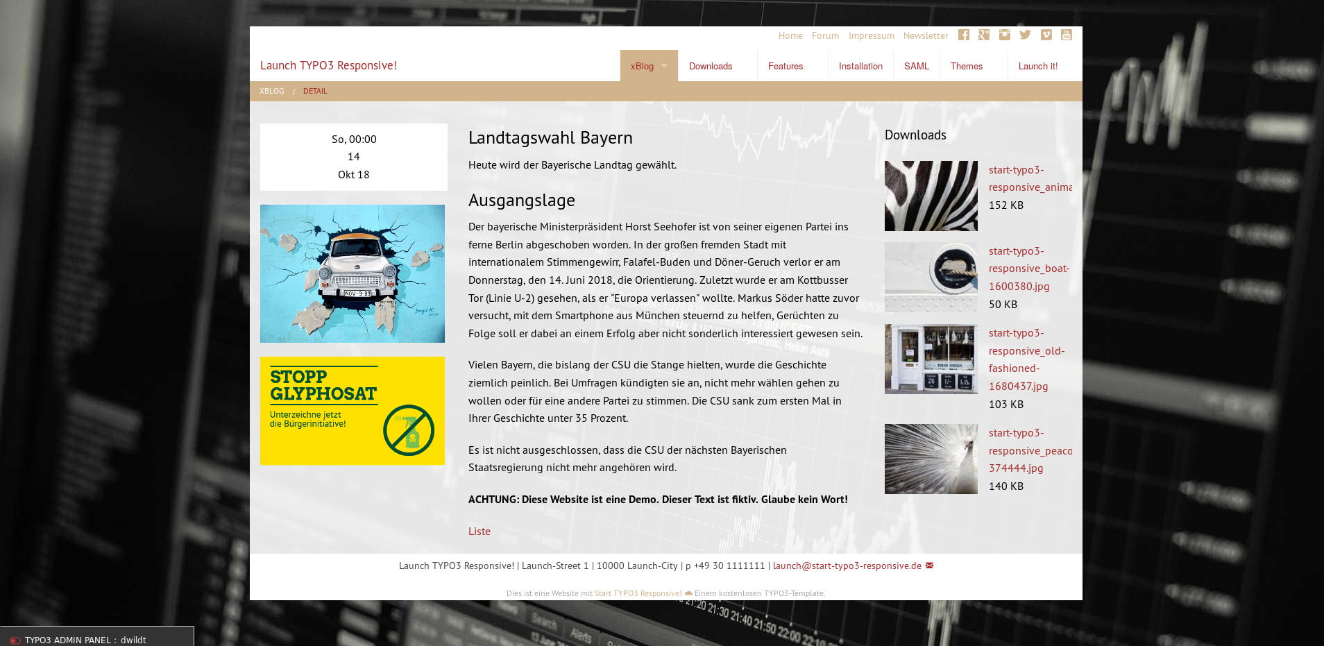 TYPO3 xBlog sample: single view