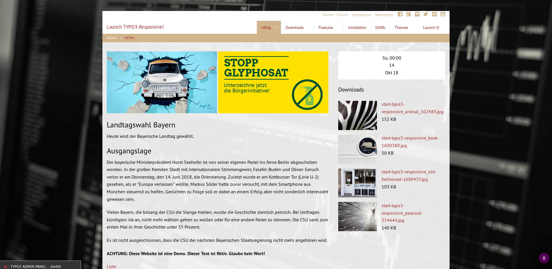TYPO3 xBlog sample: another single view