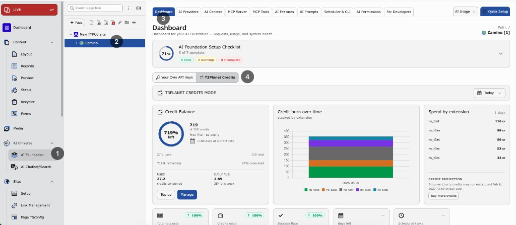 AI Foundation Dashboard in T3Planet Credits mode with balance, credit burn, and spend by extension