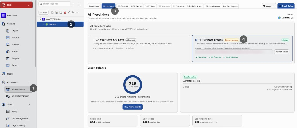AI Providers with T3Planet Credits active and credit balance panel