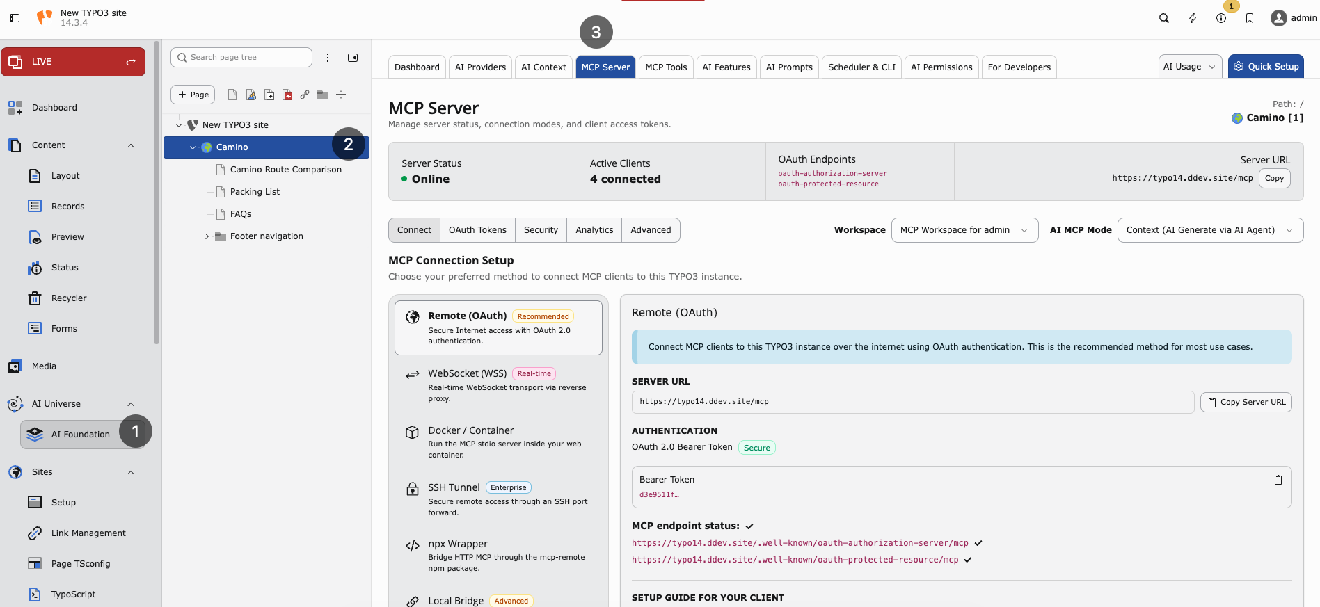 MCP Server status bar, connection methods, and Remote OAuth setup