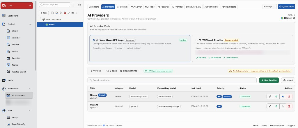 AI Providers with Own API Keys mode, provider list, models, and connection status
