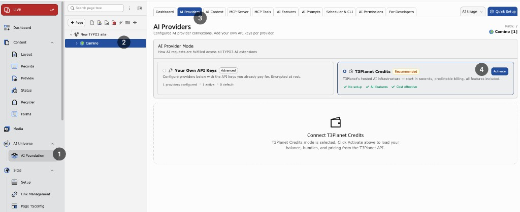 AI Providers with T3Planet Credits selected and Activate button