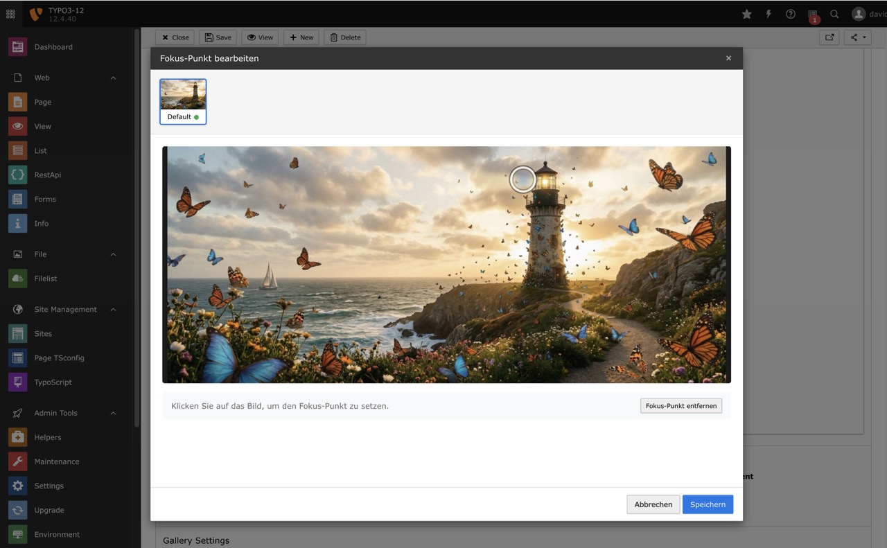 Focal point editor modal
