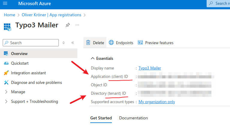 Application overview page showing Tenant ID and Client ID values