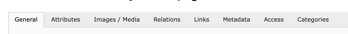 Product record overview in the TYPO3 backend.
