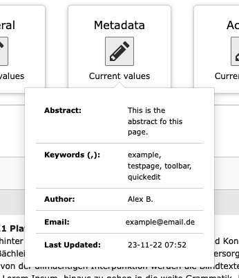 Preview tooltip of meta fields for page