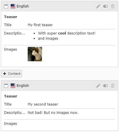 Output of content element in page module, with configured fields (Simple Backend View)