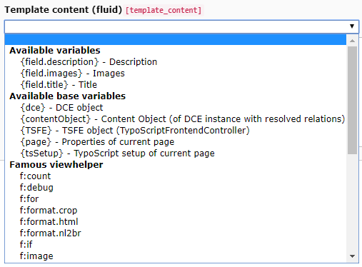 Helpful dropdown containing your defined variables and common used Fluid snippets.