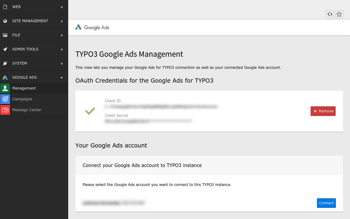 Connection to **Google Ads for TYPO3** has been established.