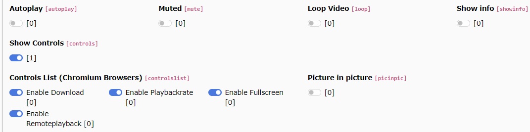 Available control switches in a video file reference