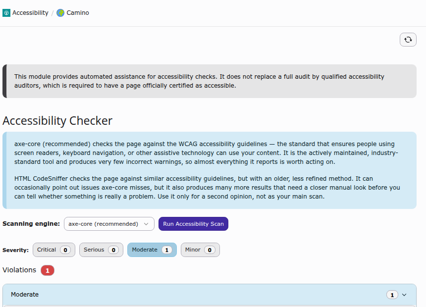 The default Accessibility module view, showing only the editor-relevant findings, with no separate tab for developer findings.