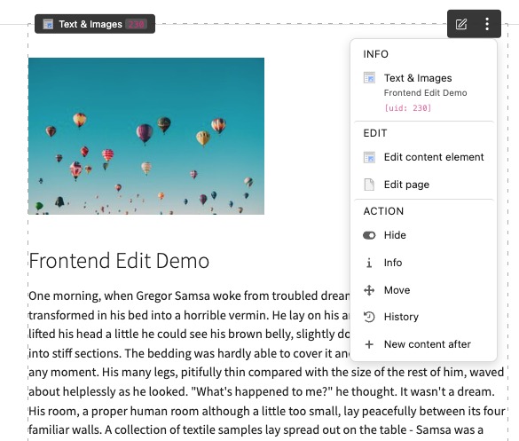 Frontend Edit Preview