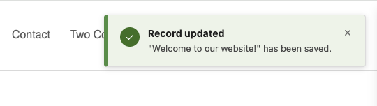 Flash message notification in frontend