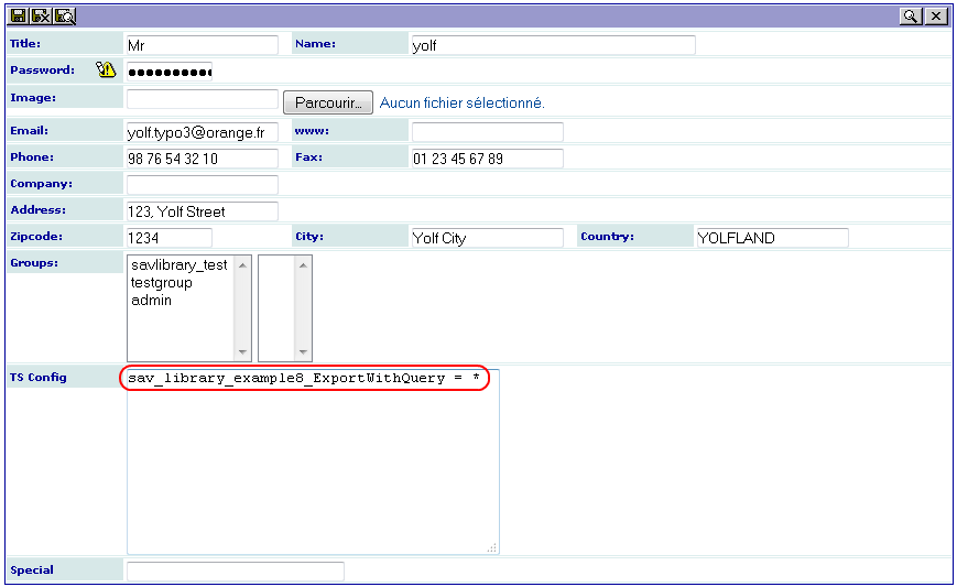 ../../_images/Tutorial8EditViewWithTSConfigWithQuery.png